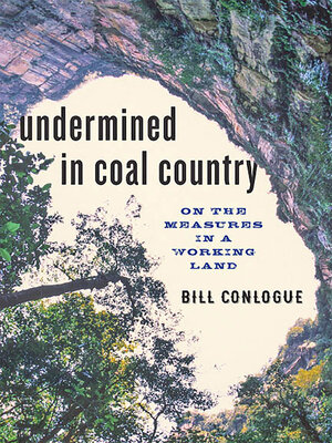 cover image of Undermined in Coal Country